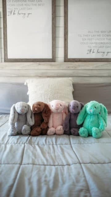 Swanky Plush Bunny- Chanel Pink
