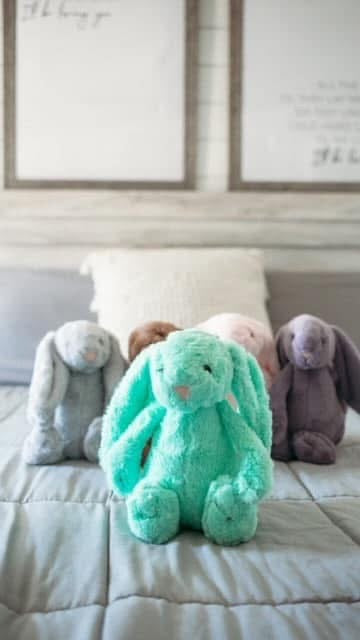 Swanky Plush Bunny- Mint