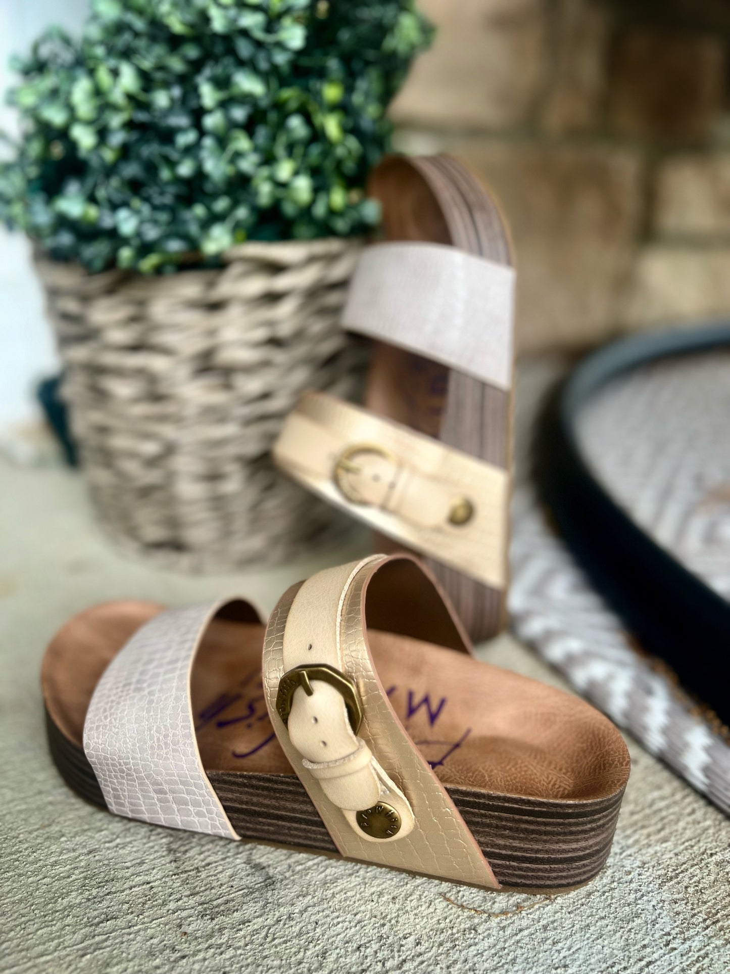 Whitesands Blowfish Sandals- Toes in the Sand