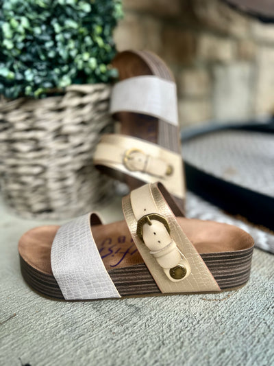 Whitesands Blowfish Sandals- Toes in the Sand