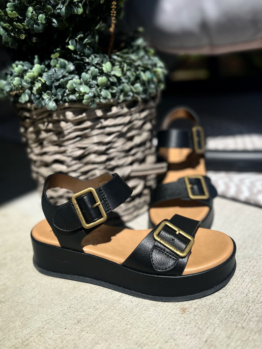 Black Blowfish Sandals- Strapped for Summer