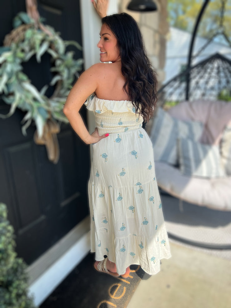 Embroidered and Bashful Dress